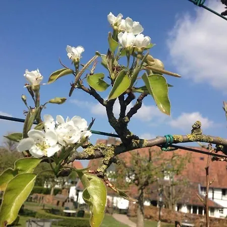 Hoeve De Plei Malines