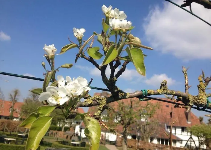 Hoeve De Plei ميشيلين